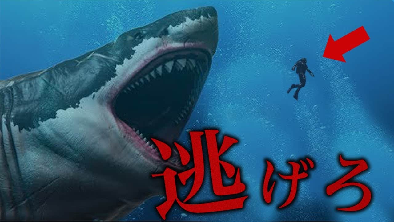 都市伝説 未確認生物 深海に潜むm越えの巨大ザメ マリアナ海溝に潜む巨大uma メガロドン 動物 犬 猫 他色々 まとめ動画