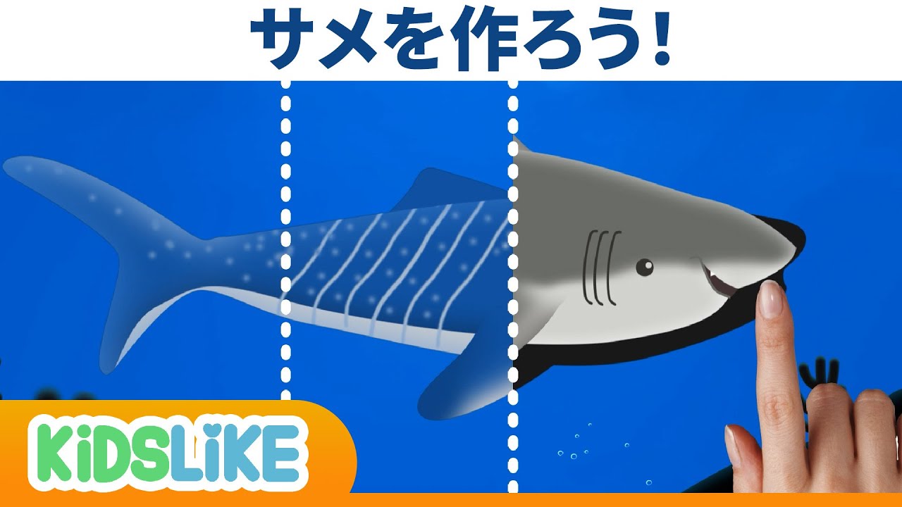 サメを作ろう 子供向けアニメ Kids Animation 動物 犬 猫 他色々 まとめ動画