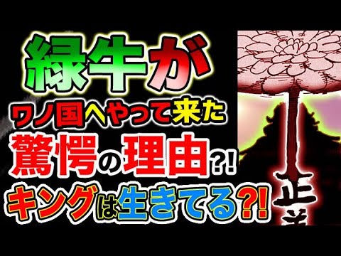 ワンピース 最新話衝撃感想 緑牛がワノ国へやって来た驚愕の理由とは キングは生きている 予想考察 アニメ 漫画考察 まとめ動画