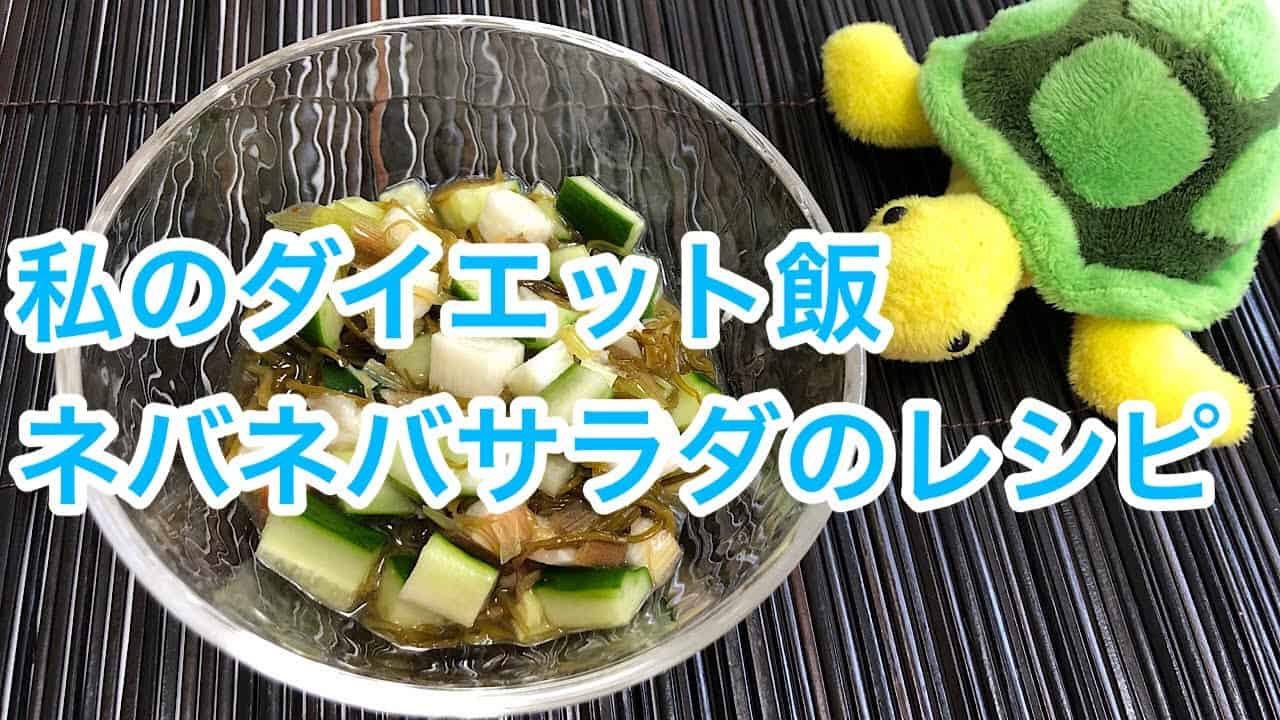 レシピ 私のダイエット飯 ネバネバサラダ ダイエット動画まとめ