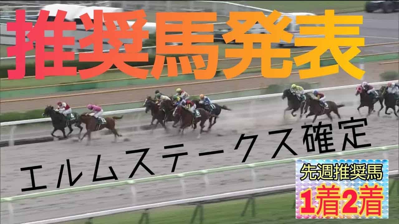 最大51 Offクーポン 年 京都金杯 カテドラル 現地限定 ミニゼッケン Folhadetangara Com Br