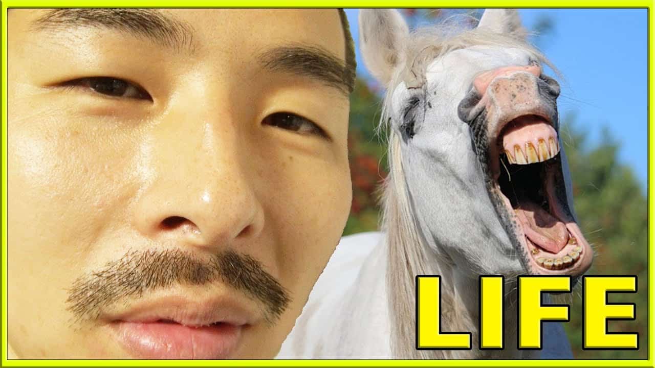 100 当たる 競馬予想で大金持ち ジャパンカップ15 Life 競馬動画まとめ