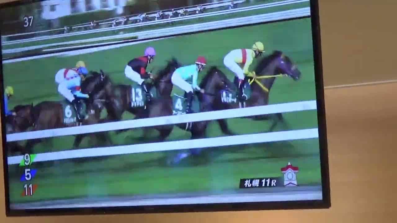 小さい馬は走らず 東京新馬時計平凡 札幌２歳sズバリ 新潟記念は本日深夜公開予定 競馬動画まとめ