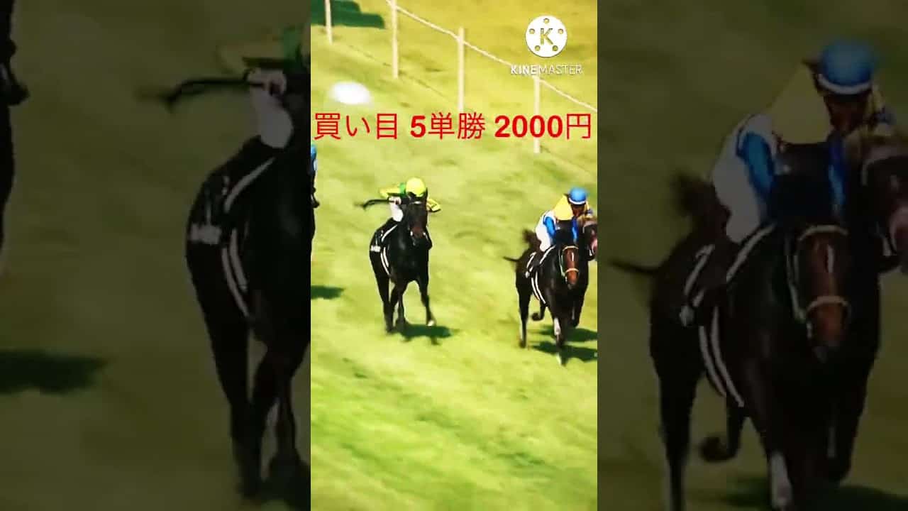 人生オワコン男 泣けなしの00円で勝負 競馬 ギャンブル ドキュメンタリー Shorts 競馬動画まとめ