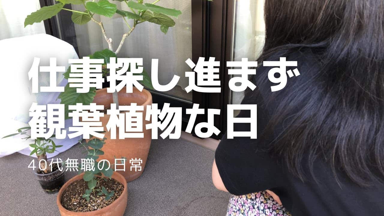 Vlog 40代 無職 仕事探し全く先に進まず 買ってきた観葉植物植え替え 仕事 転職 副業 まとめ動画