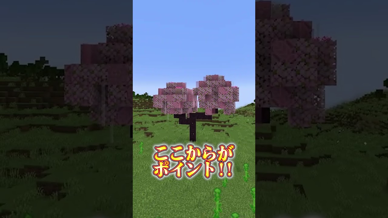 マイクラでかっこいい桜の木を作る方法【マインクラフト】#shorts | マイクラ(Minecraft)動画まとめ