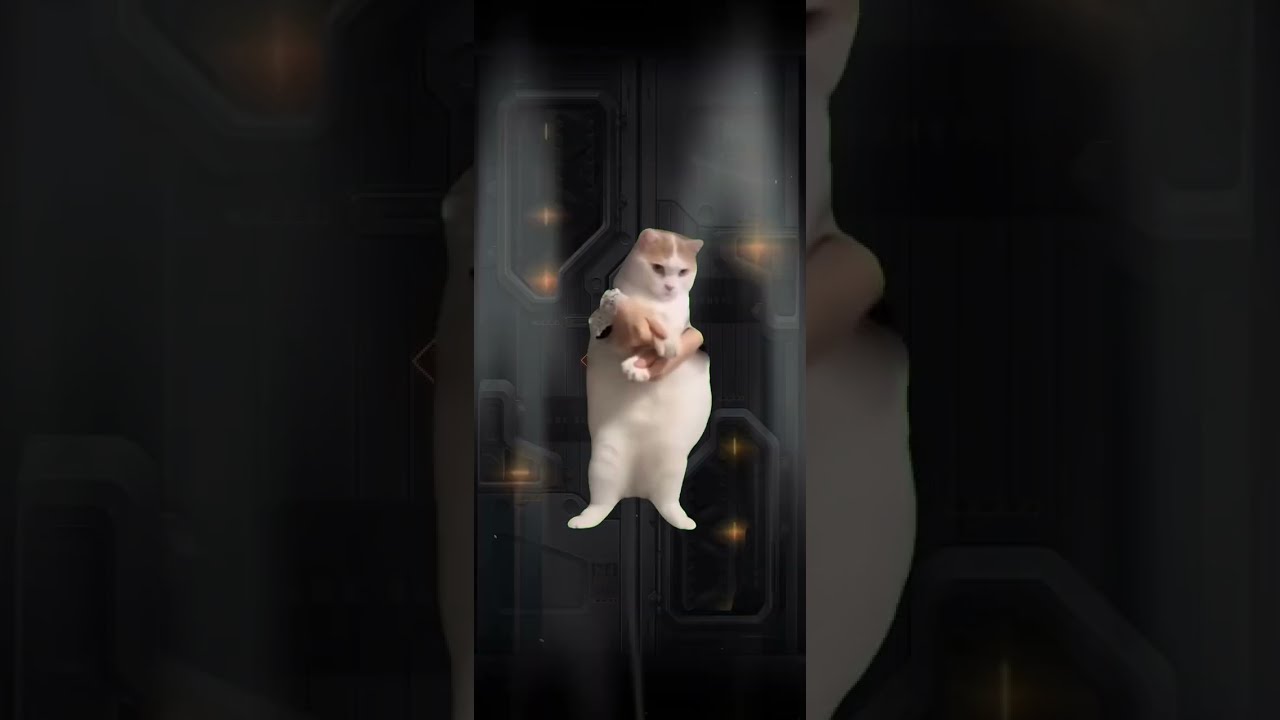 D：キラーワイフガチャとモールド引くNIKKE 猫ミーム
