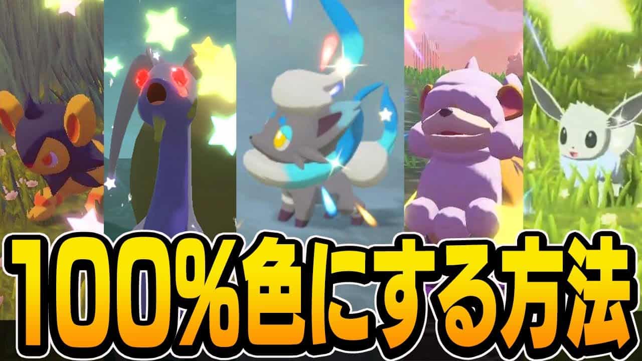 出現場所 ポケモン関連情報のまとめ動画