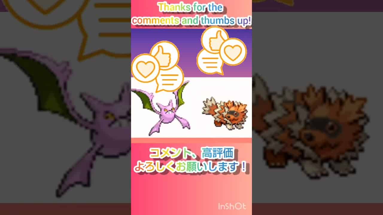 ポケモンdp 色違い捕獲日記 55日目 ジグザグマ Pokemondp The Diary Capturing Shiny Pokemon S Day55 Zigzagoon Shorts ポケモン関連情報のまとめ動画