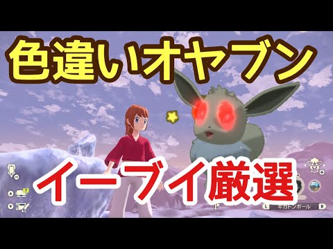 色違いオヤブンイーブイ厳選 ２５ レジェンズアルセウス ポケモン関連情報のまとめ動画