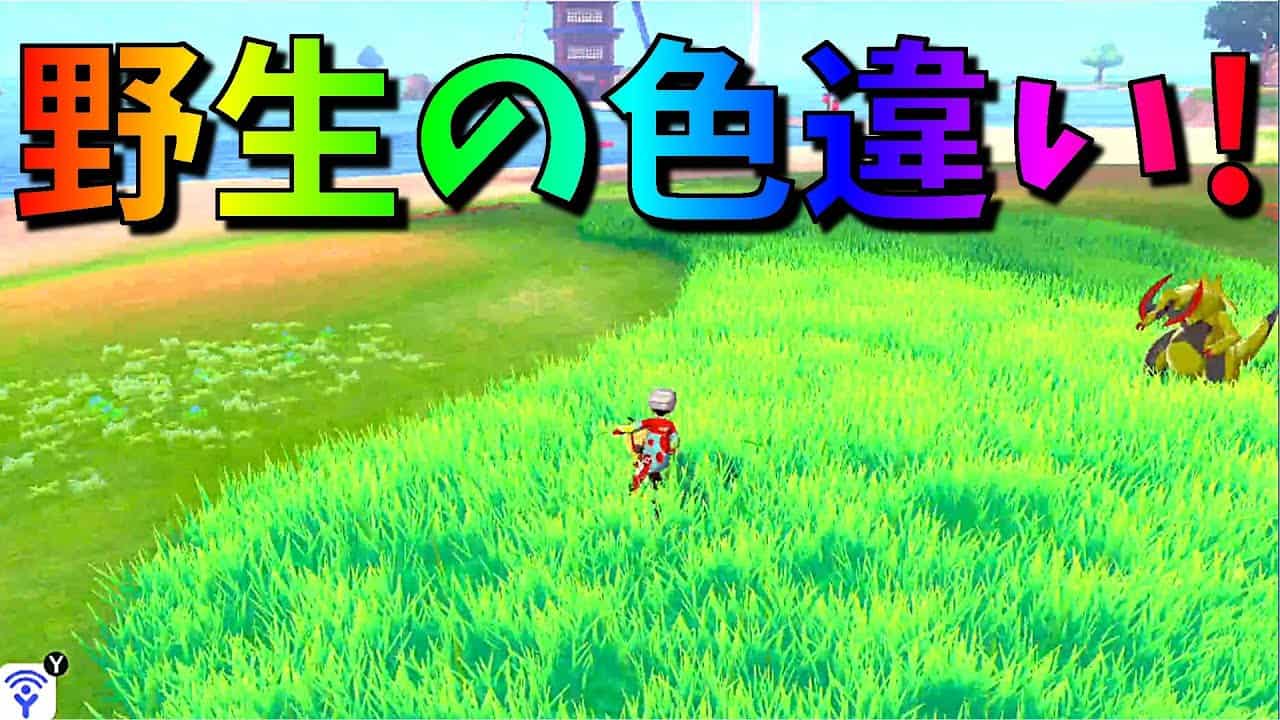 ポケモン ダイパリメイク 個体値を上限に 金の王冠 銀の王冠入手法 思わぬ落とし穴があるから注意しよう メタモン ブリリアントダイヤモンド シャイニングパール 攻略 sp 孵化 フワンテ ポケモン関連情報のまとめ動画 ポケモン ダイパリメイク 個体値を上限に 金の王冠 銀の王冠入手法 思わぬ落とし穴があるから注意しよう メタモン ブリリアントダイヤモンド シャイニングパール 攻略 sp 孵化 フワンテ ポケモン関連情報のまとめ動画