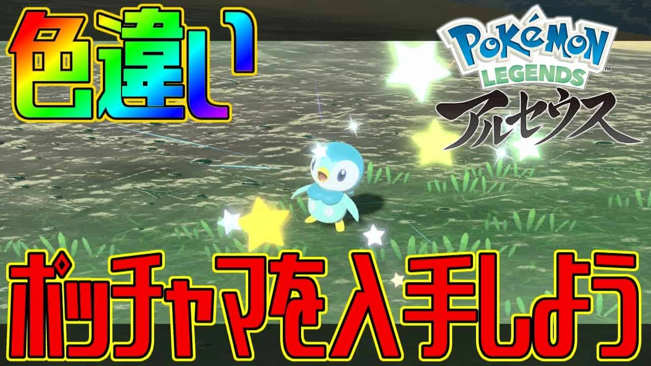 ポケモンアルセウス 色違いポッチャマを入手しよう Pokemon Legends アルセウス ポケモン関連情報のまとめ動画