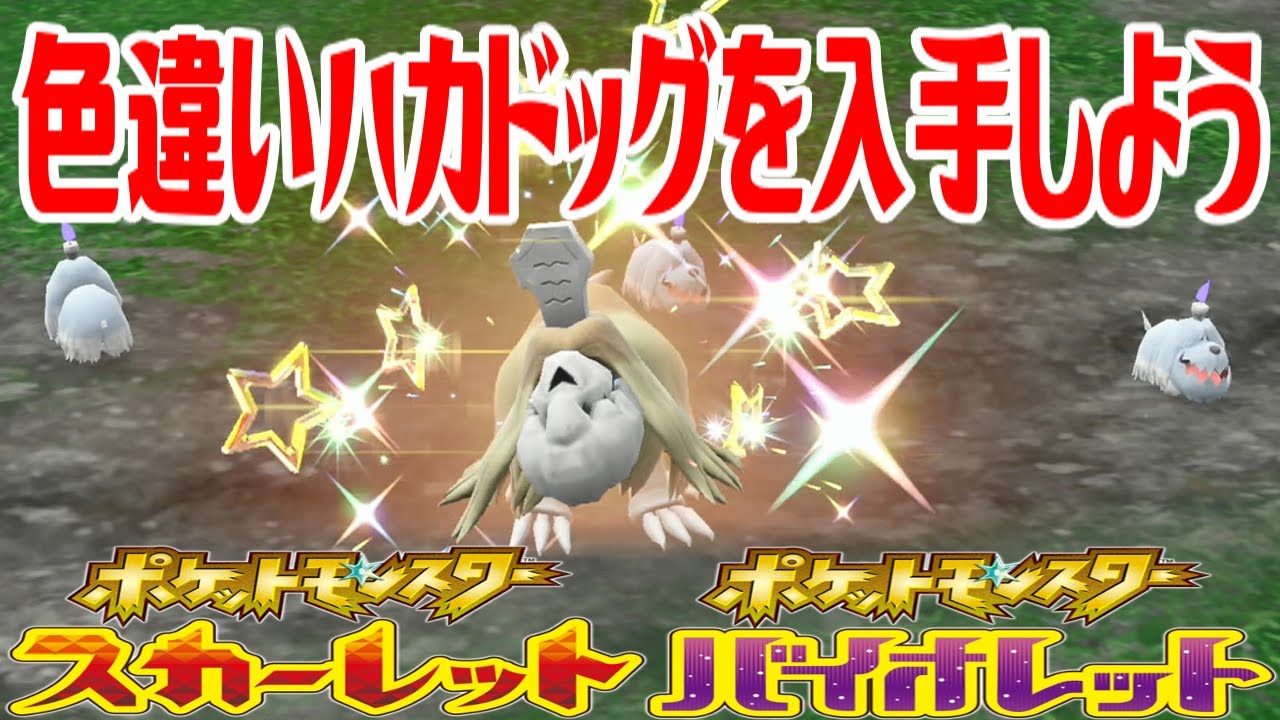 【ポケモンSV】色違いハカドッグを入手しよう【ポケットモンスター スカーレット・バイオレット】Pocket Monsters
