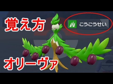 こうごうせいポケモンSVオリーヴァわざマシンない覚える横遺伝たまご技バイオレットスカーレット