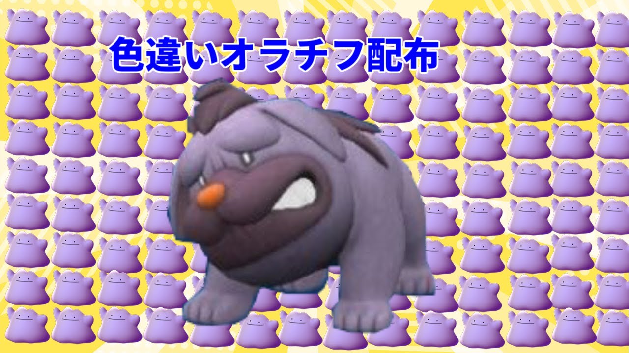 【ポケモンスカーレットバイオレット】期間限定　色違い　オラチフ　レイド配布　交換会　毎日24時間　3/27 Pokemon Raid #63