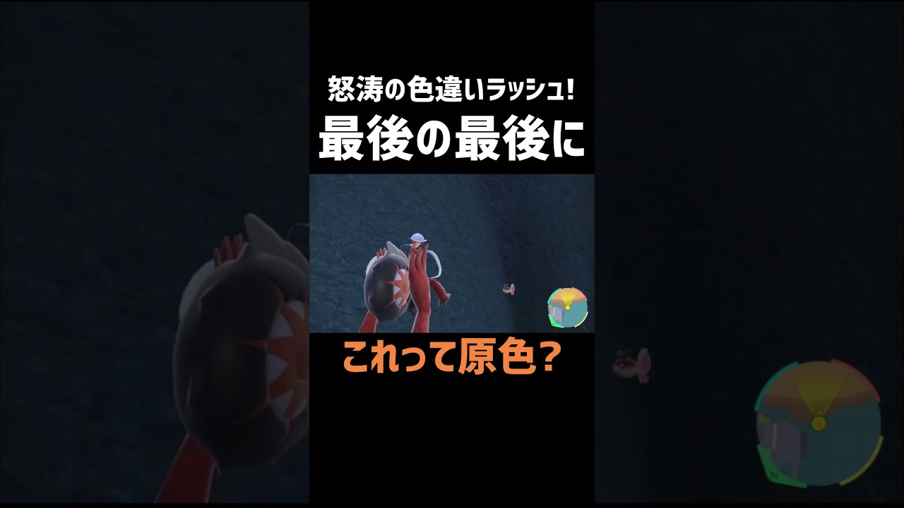 色違いラッシュで舞い上がってたらw【ポケモンSV】