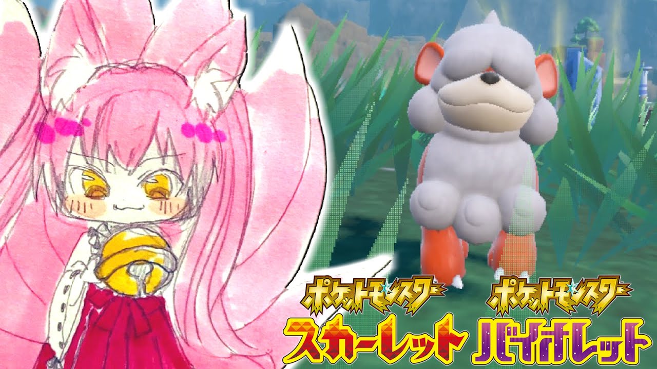 【ポケモンSV】色違いヒスイガーディ厳選【ポケモンスカーレット・バイオレット】