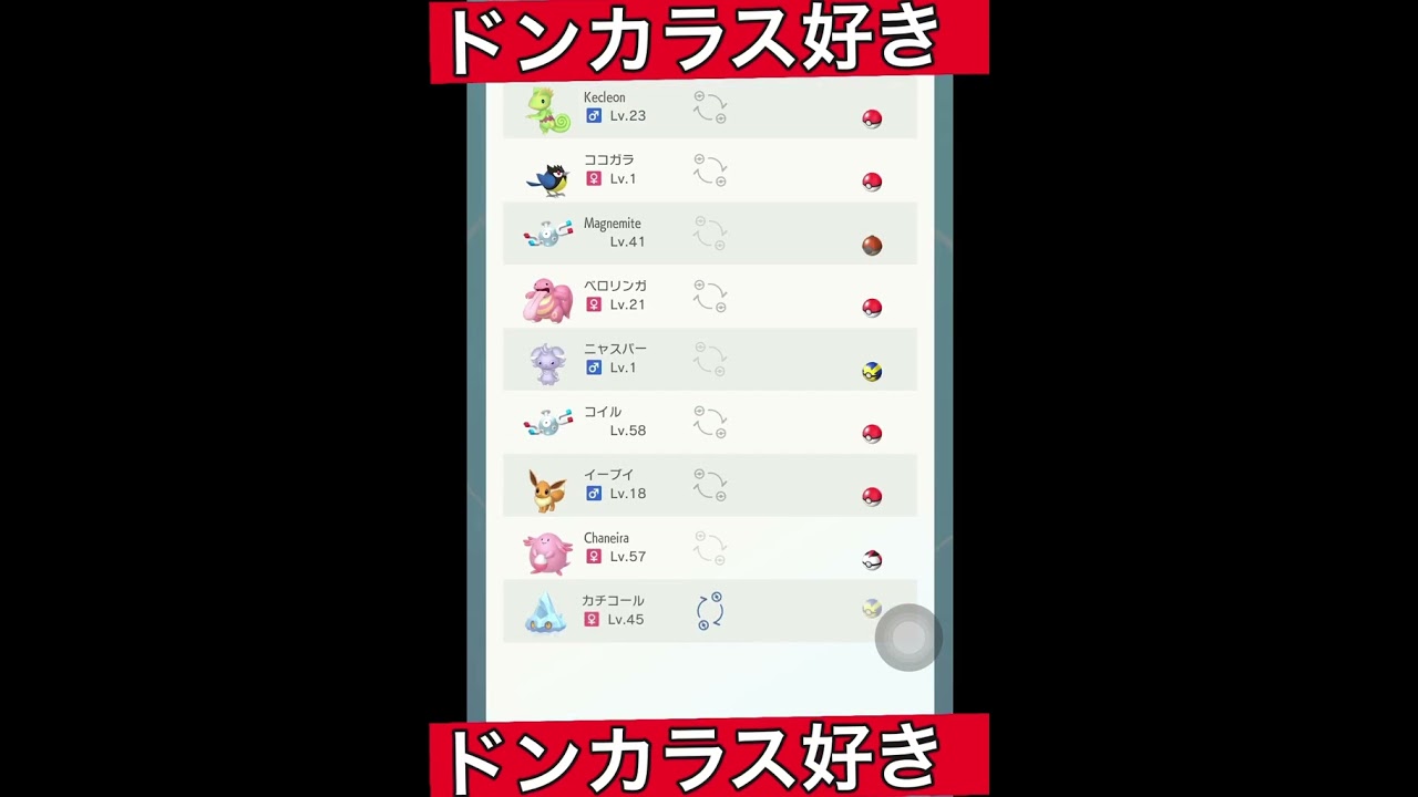#pokemon #pokémon #poketuber #ポケモンsv #ポケットモンスター #ポケモン #スカーレットバイオレット #ミラクルボックス #