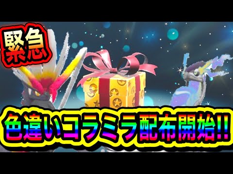 【緊急速報】あるあいことば入力でゲットできる！！色違いのコライドンとミライドンが配布開始！！【ポケモンSV/スカーレット/バイオレット/ポケモンGO】