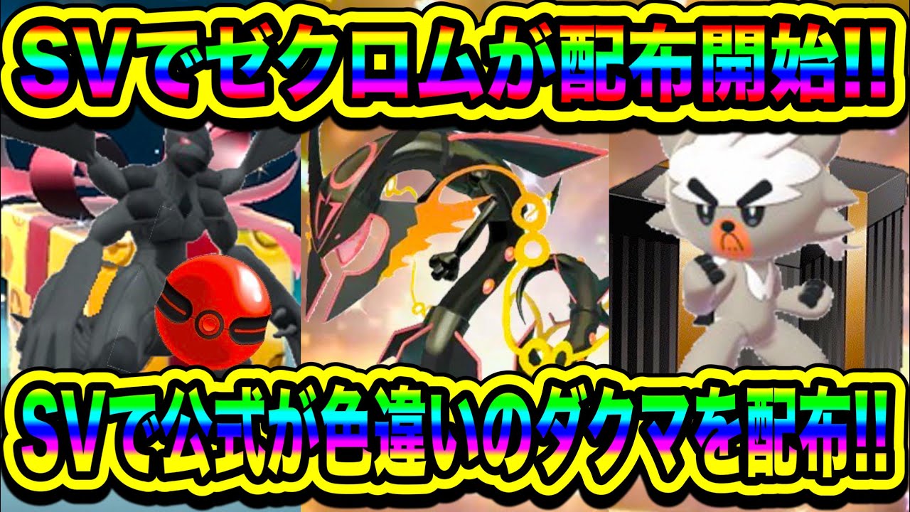 【緊急速報】SVで最新配布開始!SVでゼクロムが配布開始!SVで公式が色違いのダクマを配布!色違いのメガレックウザ登場について!【ポケモンSV/スカーレット/バイオレット/ポケモンGO】