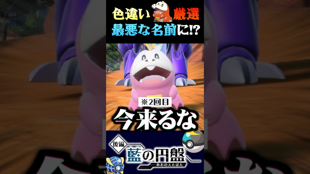 【皆はどう思う?】色違いホゲータが出現するタイミングが終わりすぎてるww【ポケモンSV】【スカーレット・バイオレット】【うさごん】